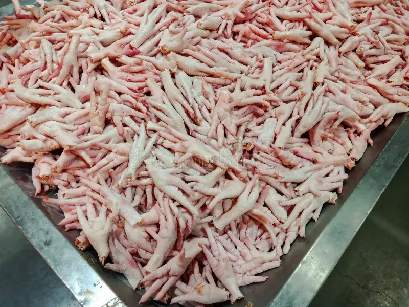 chicken feet suppliers