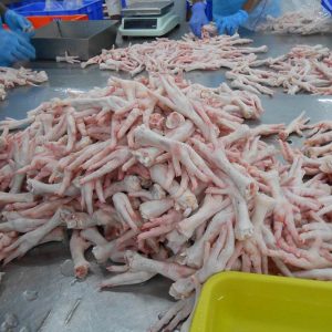 Best Frozen Chicken Feet Countries